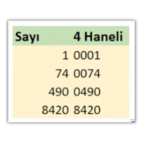 excel hücre başına 0 ekleme